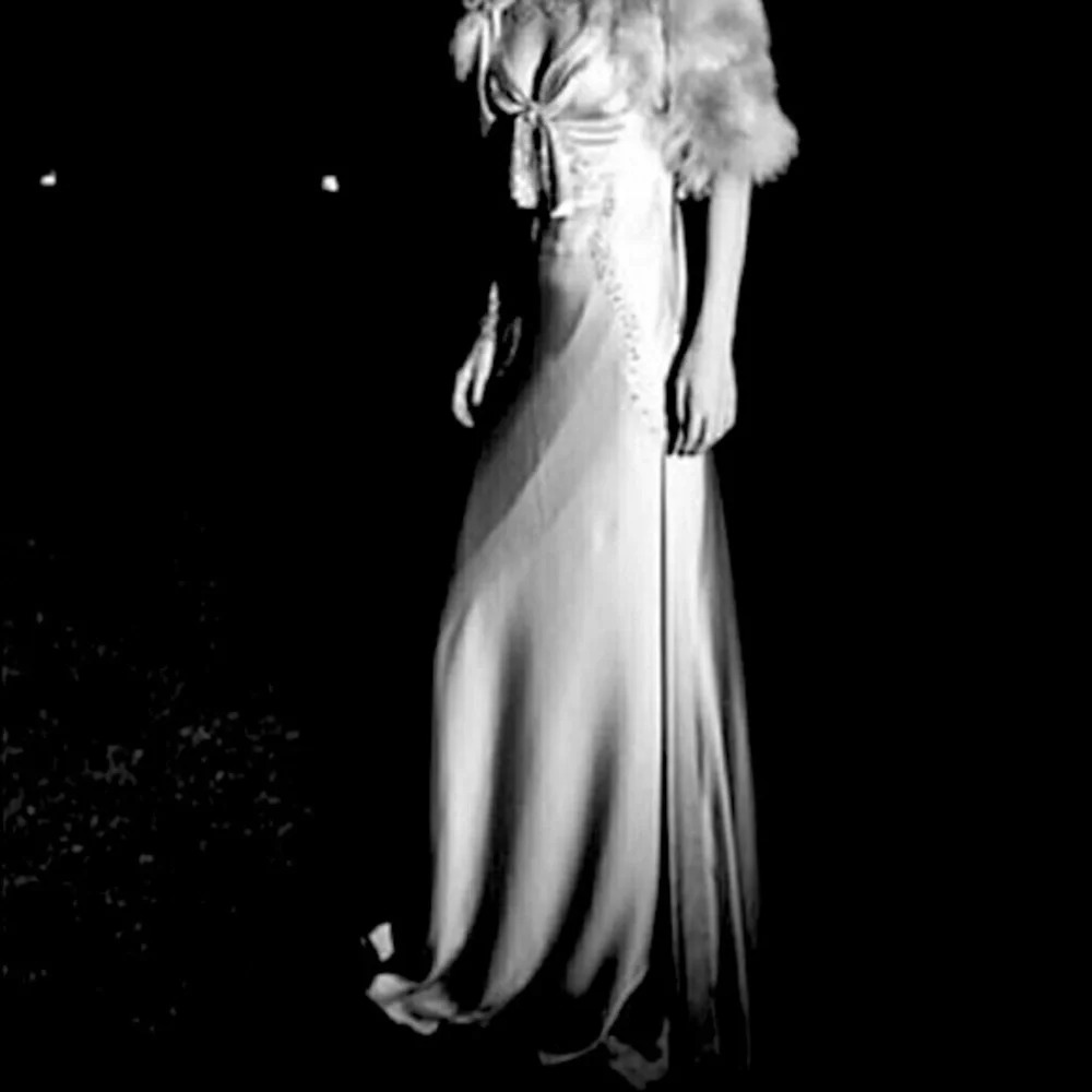 Bebe Designer Gown by Tara Subkoff, size XS